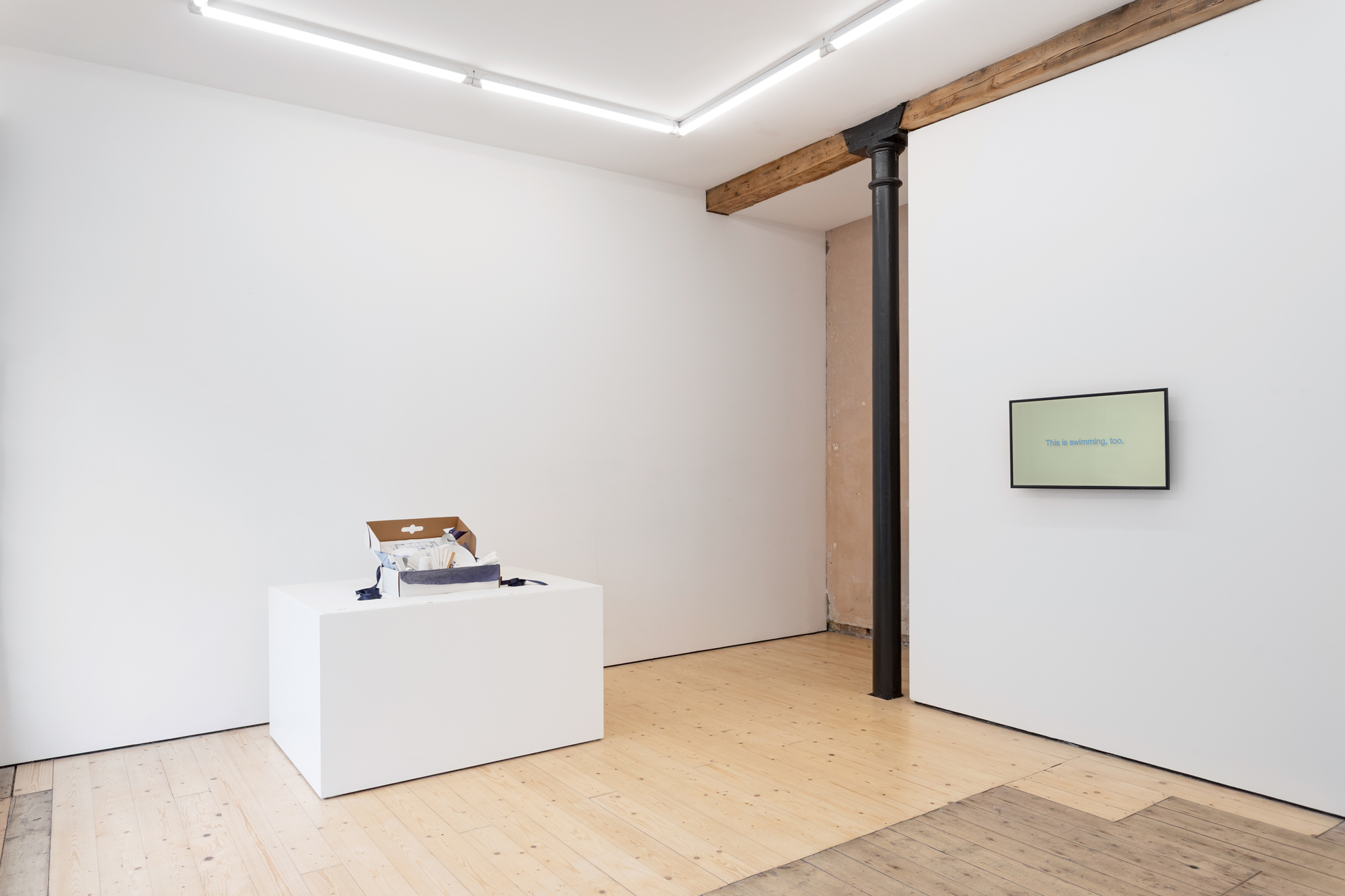A large plinth and a screen placed in a white gallery space. A cardboard box is placed on the plinth, a number of objects spilling out from this. The words 'This is swimming, too' appear on the screen.