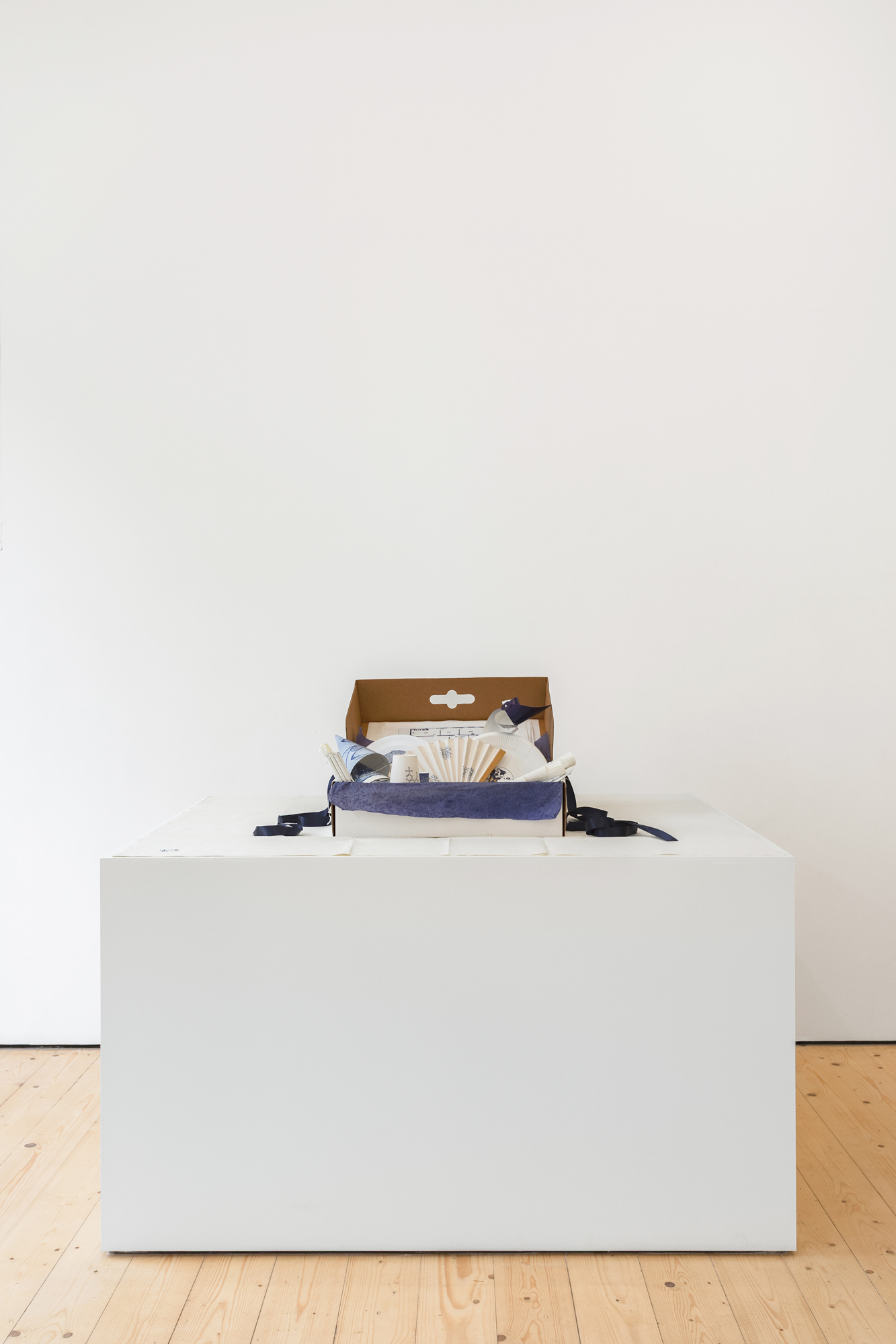 A large plinth and a screen placed in a white gallery space. A cardboard box is placed on the plinth, a number of objects spilling out from this.